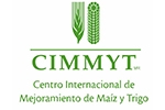 clientes_cimmyt